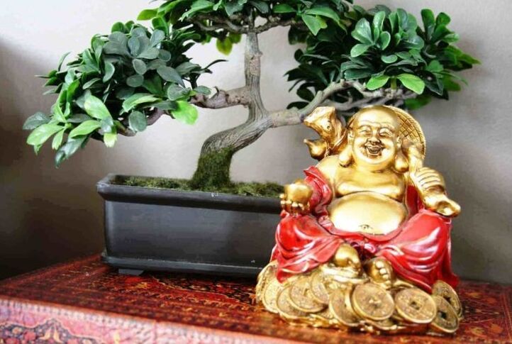 Felicità e prosperità in casa secondo il Feng Shui