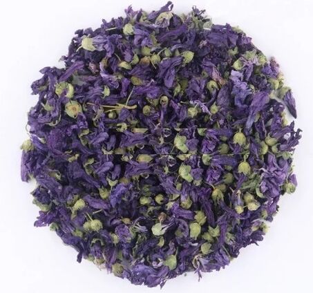 Fiori viola essiccati